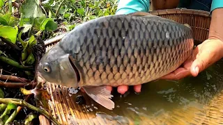 TOP 10 Amazing Fishing Videos 2021 | The Best and a lot of Viewers Videos