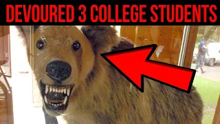 3 College Students Killed by a Bear - The Fukuoka University Hiking Club