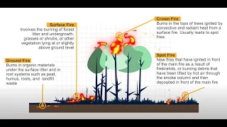 [MODULE 1] Fundamentals of Forest Fire Management