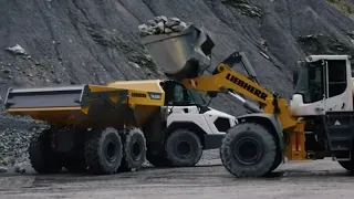 2021 Liebherr TA230 Litronic