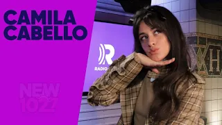 What does Camila Cabello think of Shawn Mendes' remix of Taylor Swift's "Lover"?