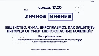 Бешенство, чума, пироплазмоз. Как защитить питомца от смертельно опасных болезней?