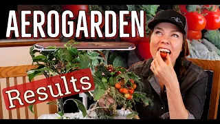 Aerogarden Harvest Slim Elite Review: Lessons Learned & Tomato Taste Test