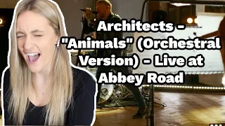 Basic White Girl Reacts To Architects - "Animals" (Orchestral Version) - Live at Abbey Road