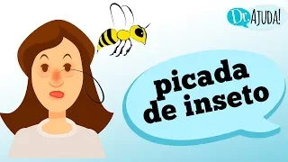 ALERGIAS DE PICADAS DE INSETO: Você tem? Como suspeitar?