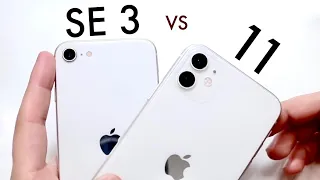 iPhone SE (2022) Vs iPhone 11 Camera Comparison!