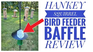 Hankey Squirrel Baffle Wrap Guard for Bird Feeder Review