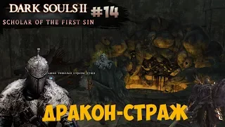 Безумный маг Навлаан и Цитадель Алдии (Dark Souls 2: SotFS) [#14]