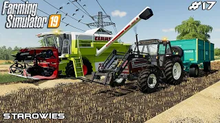 Harvesting oats with Claas harvester | Starowies | Farming Simulator 2019 | Episode 17