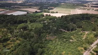 Flight Over Farningham Woods