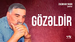 Zəlimxan Yaqub - Gözəldir / öz səsi ilə / şeirlər