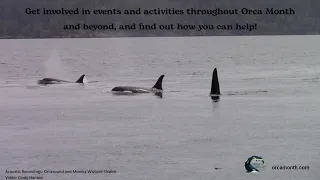 Southern Resident and Bigg's Orcas