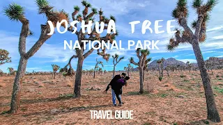 JOSHUA TREE NATIONAL PARK TRAVEL GUIDE