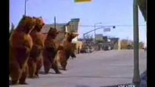 Pepsi Bear Commercial