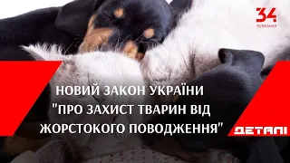 Що передбачає новий закон України "Про захист тварин від жорстокого поводження"