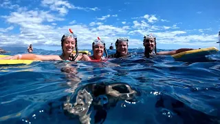 Maui Snorkeling Molokini