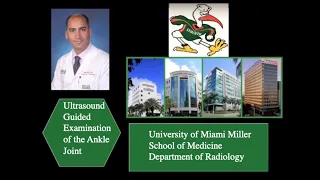 Ultrasound guided examination of the ankle joint.