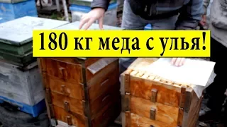 180 kg of honey from the hive ✅ In the apiary of Ivan Movchan Mirgorod