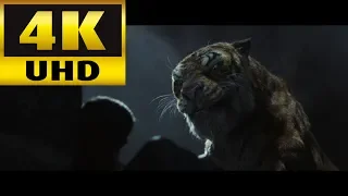 MOWGLI   Official 1st Trailer 4K UHD