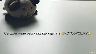 🧶КОТОБРОШКА😳🐱