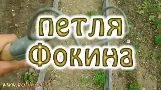 Петля Фокина и быстрая прополка грядок.