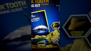 How to get a sand tiger tooth