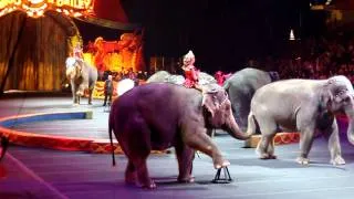 Barnum and Bailey Circus Shaolin and Elephant Act