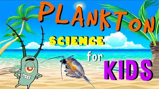 Plankton | Science for Kids