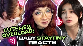 BABY STAYTINY REACTS: ATEEZ PUPPY INTERVIEW x STRAY KIDS COMPLIMENT BATTLE