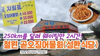 백선생님의 철원 곧오징어물회 나도 먹었다!!