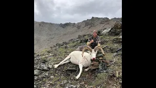 August 2019 - DS 203 Alaska Range Dall Sheep hunt