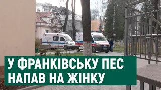 Друг чи вбивця. У Франківську собака ледь не загриз жінку