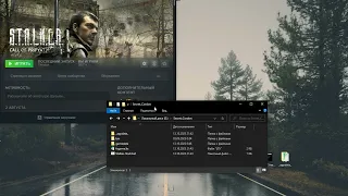 Установка мода "Тайна Кордона" на Steam клиент вне папки игры ЗП