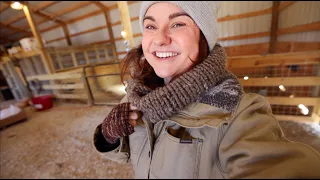 My best tips & advice for homesteaders | VLOG