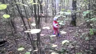 ищу в лесу грибы I am looking for mushrooms in the forest