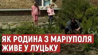 Вивезли з Маріуполя кицьку та папугу: історія родини переселенців, які оселилися у Луцьку