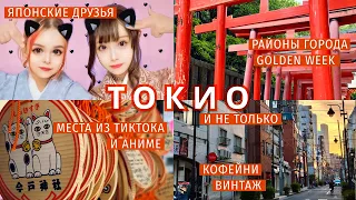 ТОКИО | Зачем сюда ехать и что тут делать? [Месяц в Японии]