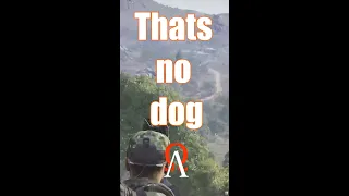 ArmA 3 - Thats no dog :D