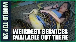 Top 20 Weirdest Services Available Out There