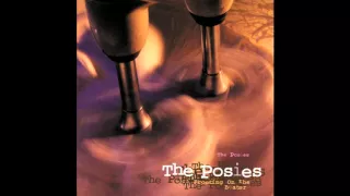 The Posies - 20 Questions