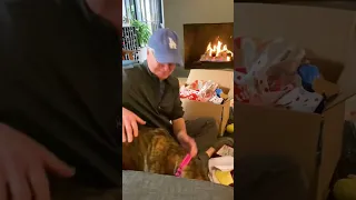 Dad Bursts Into Tears When He Gets To Keep His Foster Dog | The Dodo