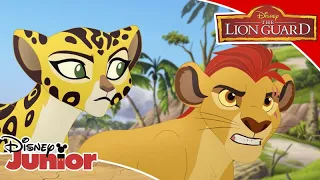 Η Φρουρά των Λιονταριών | Το Νησί των Δράκων 🔥 | Disney Junior Eλλάδα