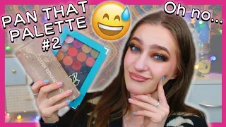 PAN THAT PALETTE 2024 #2!! (some bad news....) #panthatpalette #projectpan #eyeshadow