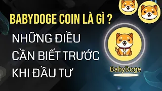 Đầu tư vào Baby Doge Coin và những điều cần biết | Baby Doge coin là gì?