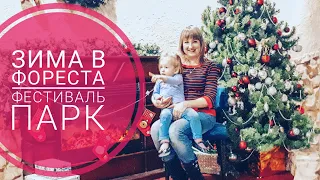 Зима Фореста Фестиваль Парк/ Отдых в Подмосковье
