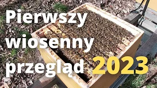 #116 Pierwszy przegląd wiosenny 19.03.2023 - mega ruch pyłkowy :)