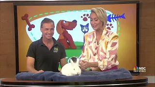 NBC Desert Pets 03/28/2024