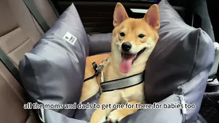 FunnyFuzzy Travel Dog Car Seat Bed