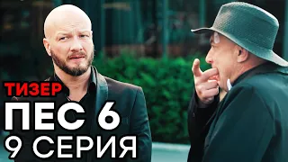 Сериал ПЕС 6 - 6 сезон - 9 серия - ТИЗЕР | СЕРИАЛЫ ICTV