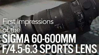 First Impressions: Sigma 60-600mm f/4.5-6.3 DG OS HSM Sports Telephoto Lens